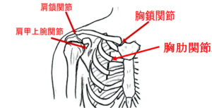 【公式】柏で「五十肩（四十肩）」専門の整体