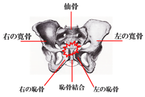 【公式】柏で産前・産後の「恥骨の痛み」専門の整体
