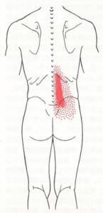 【公式】柏で「坐骨神経痛」専門の治療・整体