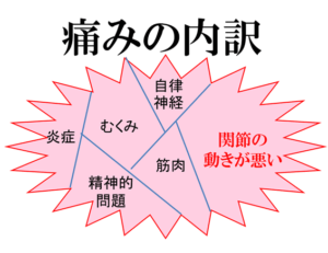 関節運動が乱れると、腰痛が生じやすい
