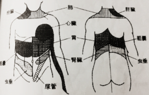 肩の痛みは内臓からかも？