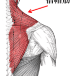 【公式】柏で頭痛専門の整体