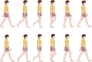 ひざの整体　歩き方を正常化する！！