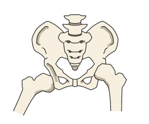 【公式】柏の「先天性股関節脱臼」専門の整体院