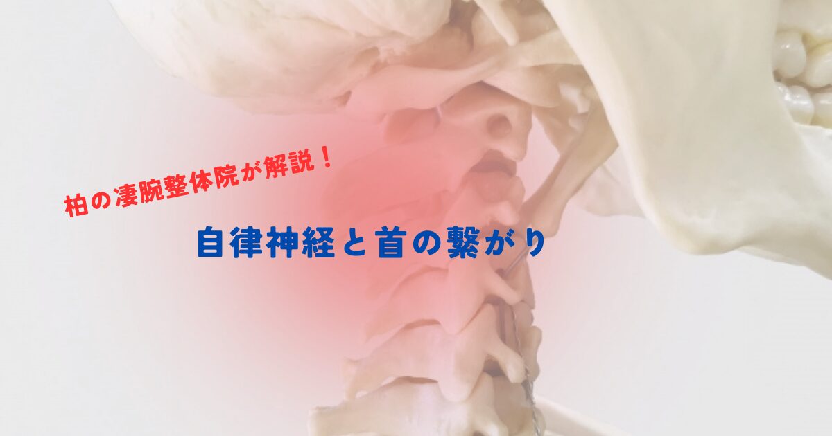 【柏の凄腕整体院が解説】自律神経と首の繋がり