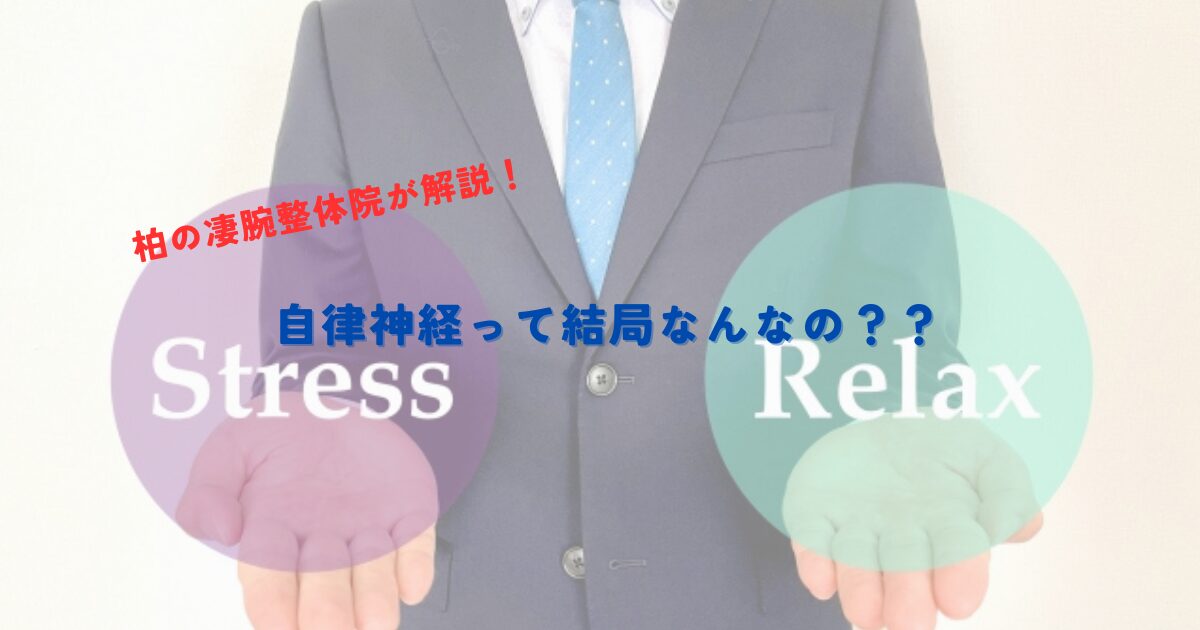 【柏の凄腕整体院が解説】自律神経って結局何なの？？