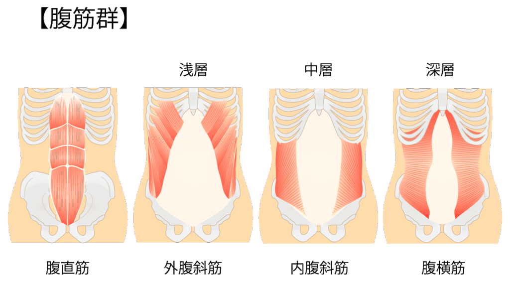 【腹直筋離開】まずは腹横筋を鍛える！